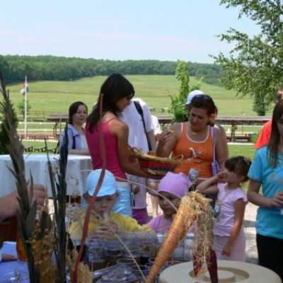 Családok kirándulása a Lázár Lovasparkba - adó, 1%, alapítvány, támogatás
