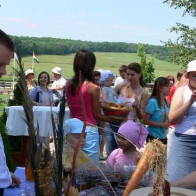 Családok kirándulása a Lázár Lovasparkba - adó, 1%, alapítvány, támogatás