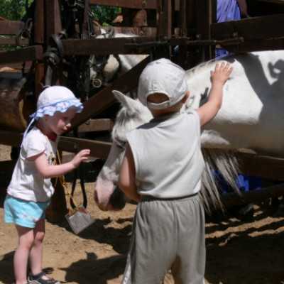 Családok kirándulása a Lázár Lovasparkba - adó, 1%, alapítvány, támogatás