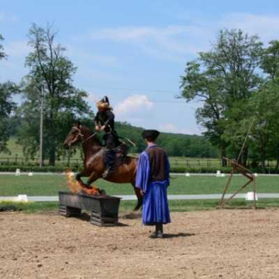 Családok kirándulása a Lázár Lovasparkba - adó, 1%, alapítvány, támogatás