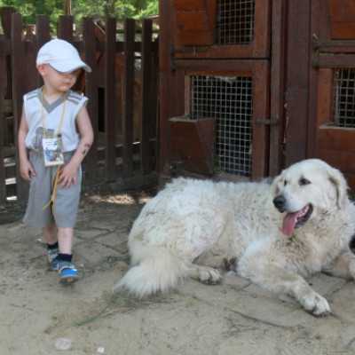 Családok kirándulása a Lázár Lovasparkba - adó, 1%, alapítvány, támogatás