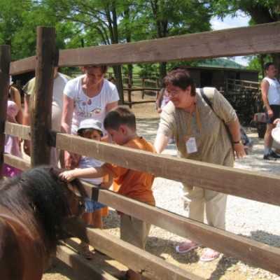 Családok kirándulása a Lázár Lovasparkba - adó, 1%, alapítvány, támogatás