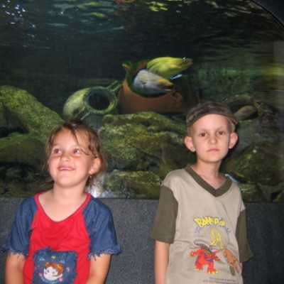 Debrecenben kezelt gyermekek kirándulása a Tropicariumban - adó, 1%, alapítvány, támogatás