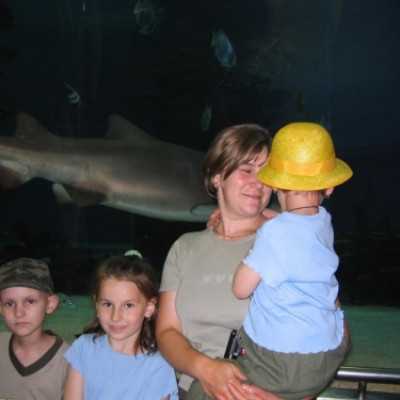 Debrecenben kezelt gyermekek kirándulása a Tropicariumban - adó, 1%, alapítvány, támogatás