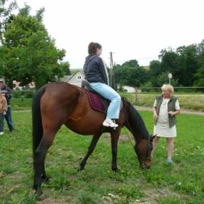 Debrecenben kezelt gyermekek kirándulása Bakonyszücsre és Pénzesgyõrbe - adó, 1%, alapítvány, támogatás