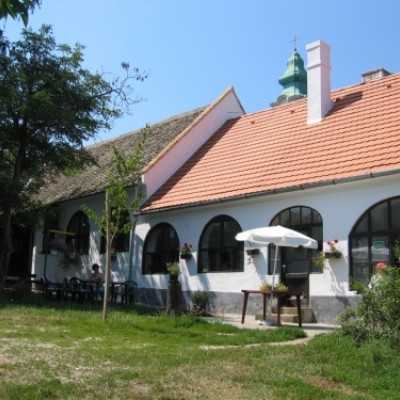 Debrecenben kezelt gyermekek kirándulása Bakonyszücsre és Pénzesgyõrbe - adó, 1%, alapítvány, támogatás