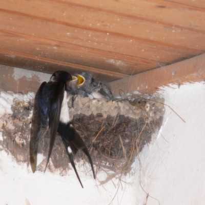 Debrecenben kezelt gyermekek kirándulása Bakonyszücsre és Pénzesgyõrbe - adó, 1%, alapítvány, támogatás