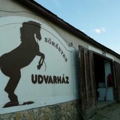 Debrecenben kezelt gyermekek kirándulása Bakonyszücsre és Pénzesgyõrbe - adó, 1%, alapítvány, támogatás