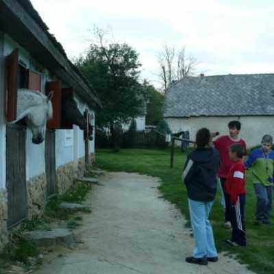 Debrecenben kezelt gyermekek kirándulása Bakonyszücsre és Pénzesgyõrbe - adó, 1%, alapítvány, támogatás