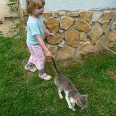 Debrecenben kezelt gyermekek kirándulása Bakonyszücsre és Pénzesgyõrbe - adó, 1%, alapítvány, támogatás