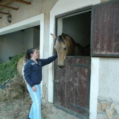 Debrecenben kezelt gyermekek kirándulása Bakonyszücsre és Pénzesgyõrbe - adó, 1%, alapítvány, támogatás