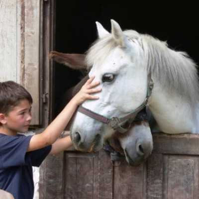 Debrecenben kezelt gyermekek kirándulása Bakonyszücsre és Pénzesgyõrbe - adó, 1%, alapítvány, támogatás
