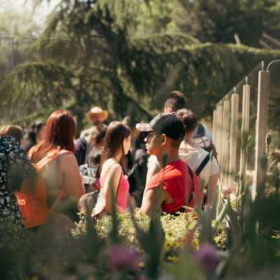 Csodálatos napot tölthettünk együtt a Nagyerdei Kultúrparkban - alapítvány, adó 1%, támogatás