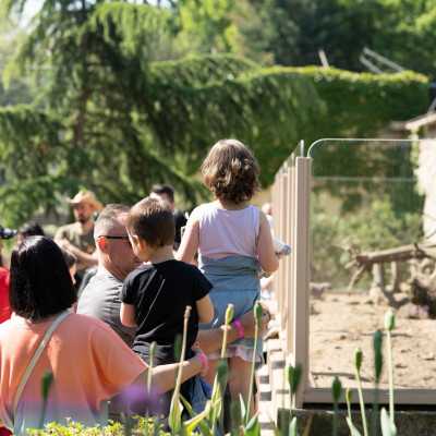 Csodálatos napot tölthettünk együtt a Nagyerdei Kultúrparkban - alapítvány, adó 1%, támogatás