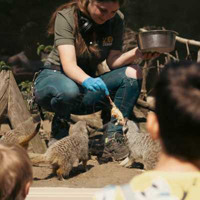 Csodálatos napot tölthettünk együtt a Nagyerdei Kultúrparkban - alapítvány, adó 1%, támogatás