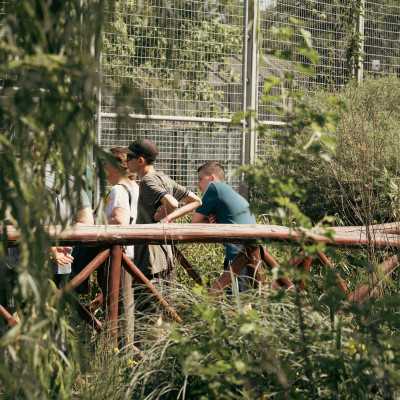 Csodálatos napot tölthettünk együtt a Nagyerdei Kultúrparkban - alapítvány, adó 1%, támogatás