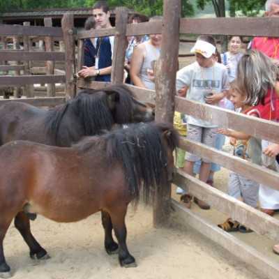 Fogjunk össze együtt egy feledhetetlen Gyermeknapért! - adó, 1%, alapítvány, támogatás