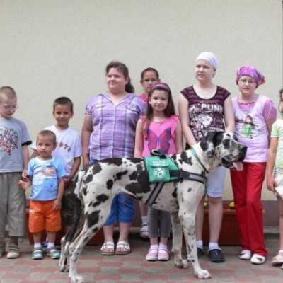 Gyermeknap a Remény Kuckóban - adó, 1%, alapítvány, támogatás