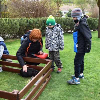 Húsvéti kirándulás a kis betegekkel - alapítvány, adó 1%, támogatás