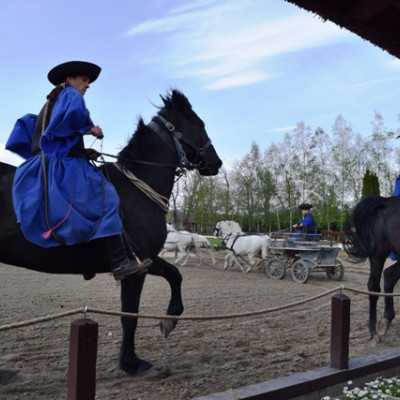 Húsvéti kirándulás a kis betegekkel - alapítvány, adó 1%, támogatás