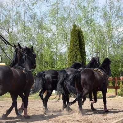 Húsvéti kirándulás a kis betegekkel - alapítvány, adó 1%, támogatás