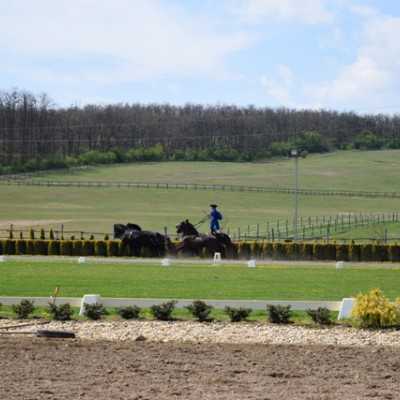 Húsvéti kirándulás a kis betegekkel - alapítvány, adó 1%, támogatás