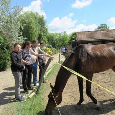 Húsz éve segít a Remény a Leukémiás Gyermekekért Alapítvány - adó, 1%, alapítvány, támogatás