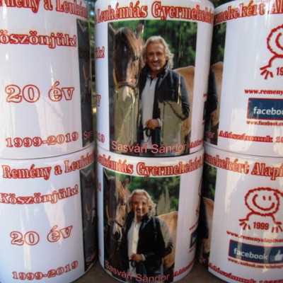 Húsz éve segít a Remény a Leukémiás Gyermekekért Alapítvány - adó, 1%, alapítvány, támogatás