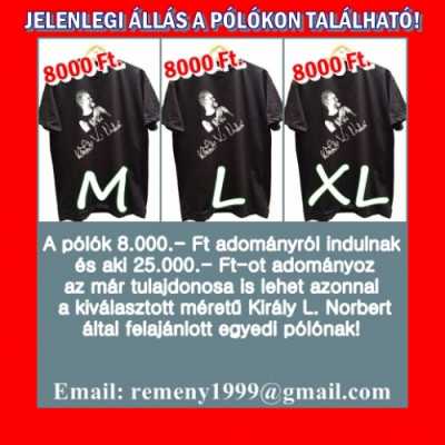 Király L. Norbi segít a beteg gyermekeknek - adó, 1%, alapítvány, támogatás