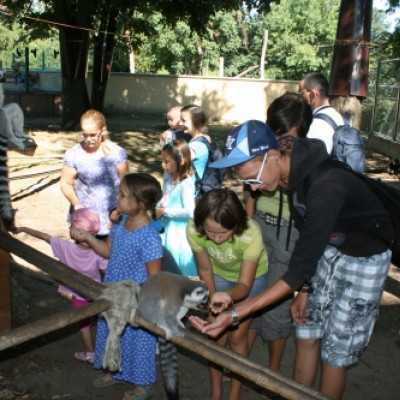 kirándulás a Nagyerdei Kultúrparkban - adó, 1%, alapítvány, támogatás