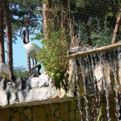 kirándulás a Nagyerdei Kultúrparkban - adó, 1%, alapítvány, támogatás