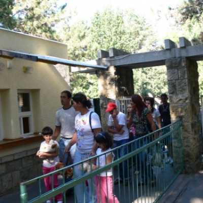 kirándulás a Nagyerdei Kultúrparkban - adó, 1%, alapítvány, támogatás