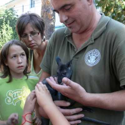 kirándulás a Nagyerdei Kultúrparkban - adó, 1%, alapítvány, támogatás