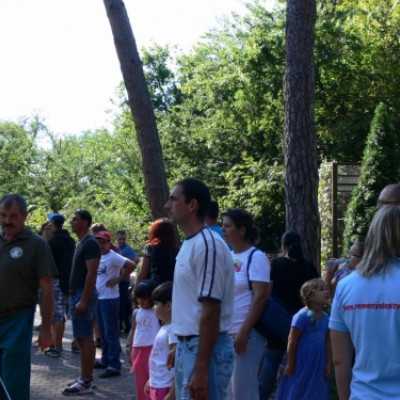 kirándulás a Nagyerdei Kultúrparkban - adó, 1%, alapítvány, támogatás