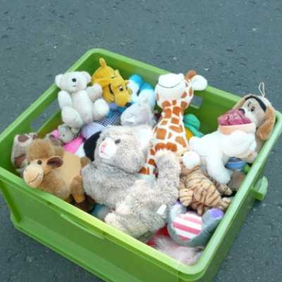 kirándulás a Nagyerdei Kultúrparkban - adó, 1%, alapítvány, támogatás