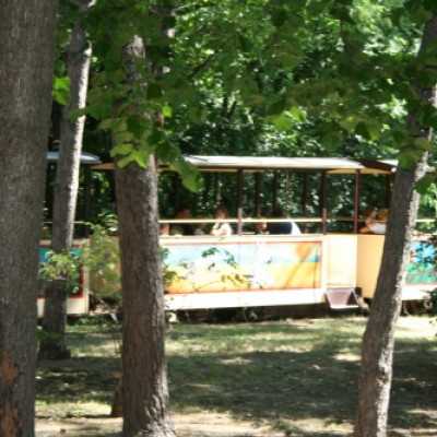 kirándulás a Nagyerdei Kultúrparkban - adó, 1%, alapítvány, támogatás