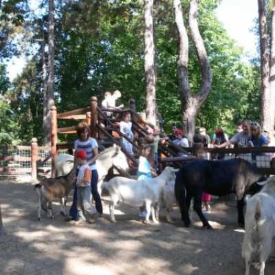 kirándulás a Nagyerdei Kultúrparkban - adó, 1%, alapítvány, támogatás