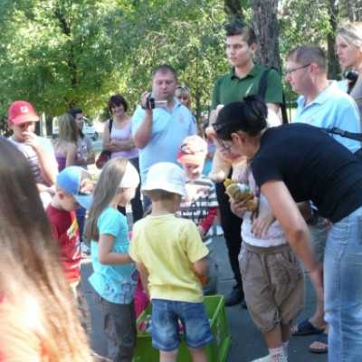 kirándulás a Nagyerdei Kultúrparkban - adó, 1%, alapítvány, támogatás