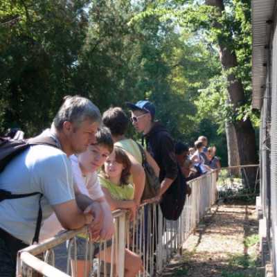 kirándulás a Nagyerdei Kultúrparkban - adó, 1%, alapítvány, támogatás