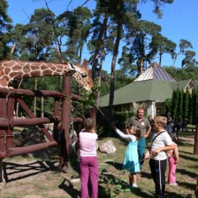 kirándulás a Nagyerdei Kultúrparkban - adó, 1%, alapítvány, támogatás