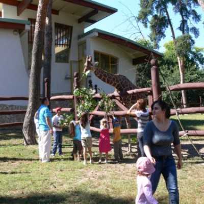 kirándulás a Nagyerdei Kultúrparkban - adó, 1%, alapítvány, támogatás