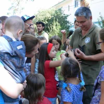 kirándulás a Nagyerdei Kultúrparkban - adó, 1%, alapítvány, támogatás