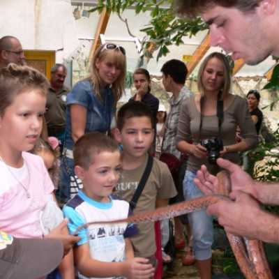 kirándulás a Nagyerdei Kultúrparkban - adó, 1%, alapítvány, támogatás