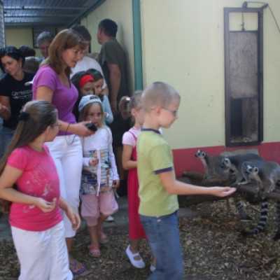 kirándulás a Nagyerdei Kultúrparkban - adó, 1%, alapítvány, támogatás