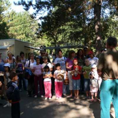 kirándulás a Nagyerdei Kultúrparkban - adó, 1%, alapítvány, támogatás