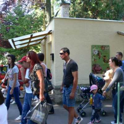 kirándulás a Nagyerdei Kultúrparkban - adó, 1%, alapítvány, támogatás