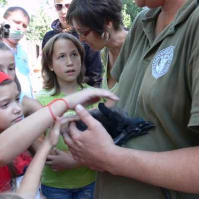 kirándulás a Nagyerdei Kultúrparkban - adó, 1%, alapítvány, támogatás