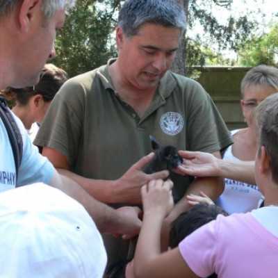 kirándulás a Nagyerdei Kultúrparkban - adó, 1%, alapítvány, támogatás