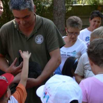 kirándulás a Nagyerdei Kultúrparkban - adó, 1%, alapítvány, támogatás
