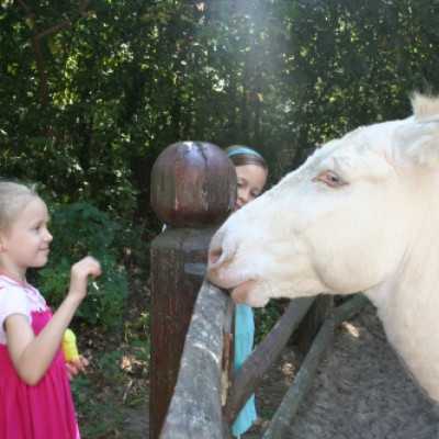 kirándulás a Nagyerdei Kultúrparkban - adó, 1%, alapítvány, támogatás